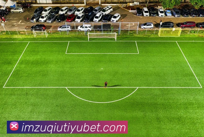 IM体育APP 高清赛事图